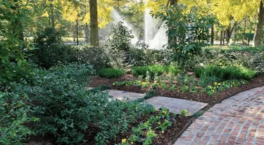 Landscaping and garden bed maintenance in Metairie and New Orleans in Metairie and Greater New Orleans
