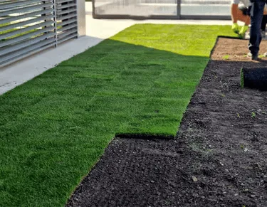 Professional lawn mowing and lawn maintenance in Metairie Louisiana in Metairie and Greater New Orleans